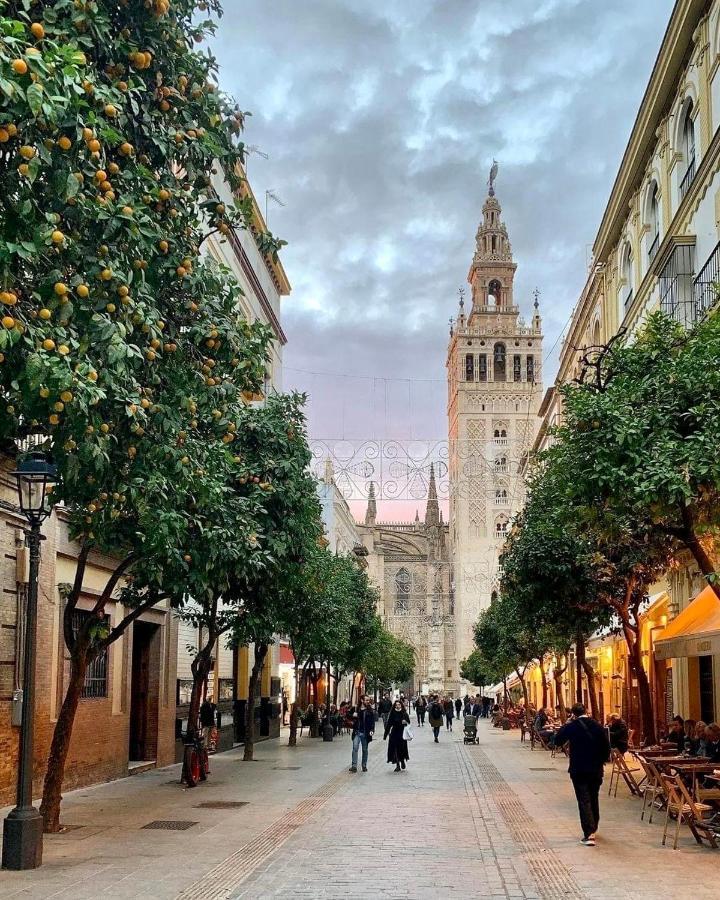 Suites Las Setas & Bicicletas Electricas Gratis Seville Exterior photo